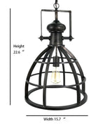 "Meadow" 1-Light Chandelier - Interna Lighting