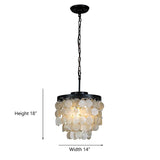 "Carapace" 3-Light Chandelier - Interna Lighting